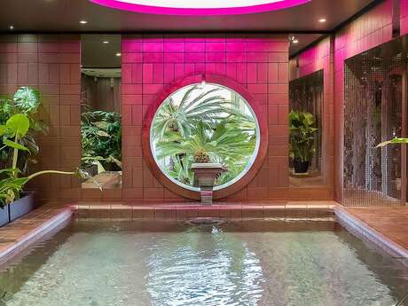 Spa Château Le Stelsia - sarl château de saint Sylvestre