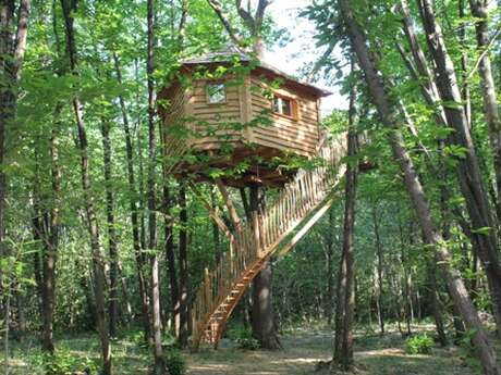 Les folies de Sophie