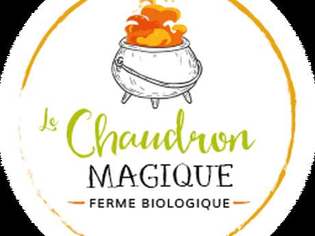 Le Chaudron Magique
