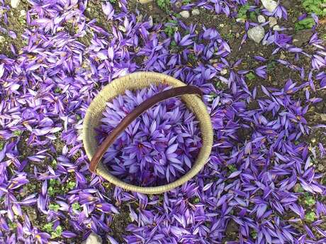 La Safranière du Mazet