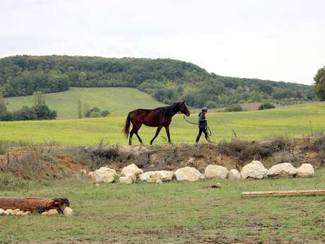 Cheval nature de Rivalet