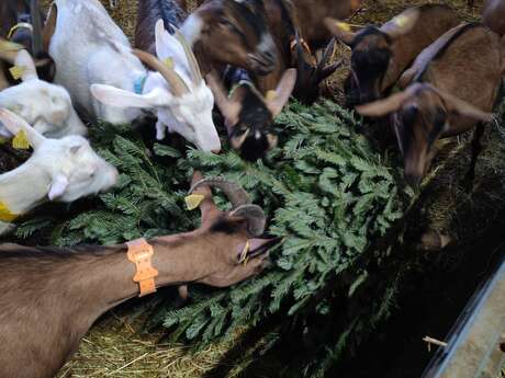 GAEC DU POINT SUBLIME