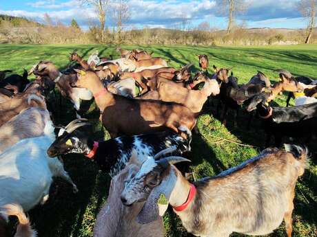 GAEC DU POINT SUBLIME