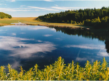 LES CONTREFORTS DE L’AUBRAC