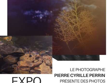 EXPO PHOTO À L'OFFICE