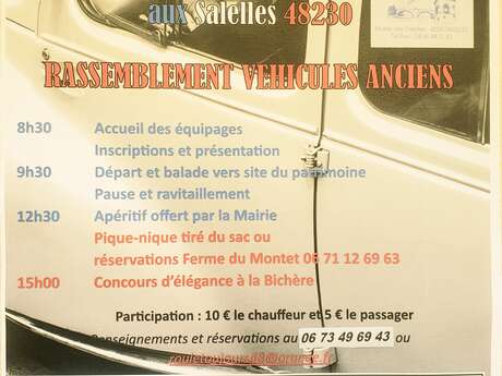 ROULE TOUJOURS : RASSEMBLEMENT DE VÉHICULES ANCIENS