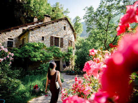 LA SOURCE DU MOULIN DE CENARET