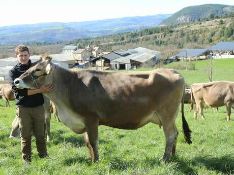 UN ÉTÉ À LA FERME : FRAISSINET