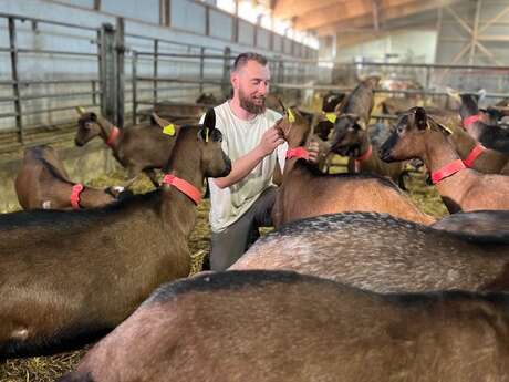UN ÉTÉ À LA FERME : LA JONQUIÈRE