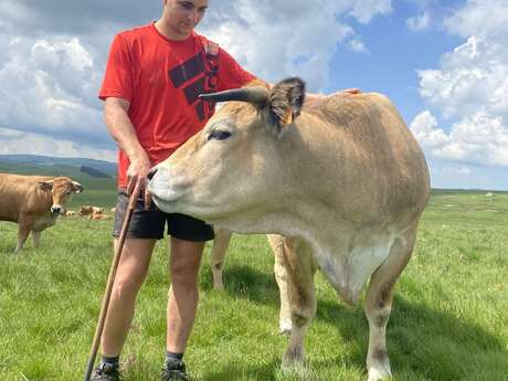 UN ÉTÉ À LA FERME : LE BROUILLET