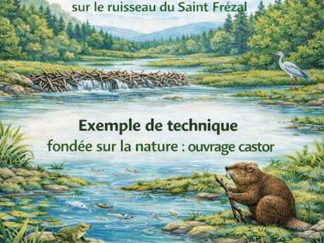 SOLUTION LOW TECH ET OUVRAGE CASTOR