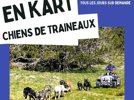 BALADE EN KART CHIEN DE TRAINEAUX