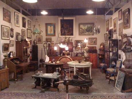 DAVID SEGALA ANTIQUAIRE