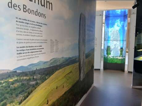 VISITE GUIDÉE DE LA MAISON DES MENHIRS