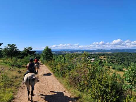 CHEVAUX AU VENT