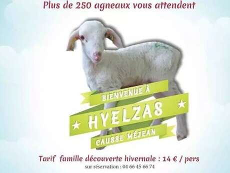 FERME DU GAEC DE HYELZAS