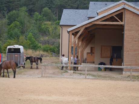 CHEVAUX AU VENT