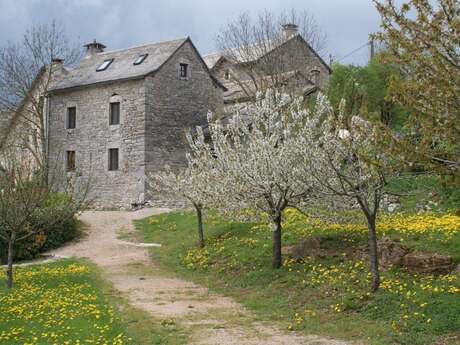 LES ECURIES DE SAUVETERRE - LE SAUVETERRE