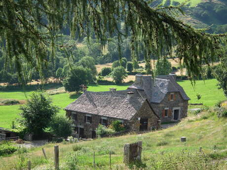 LA TARABELLE