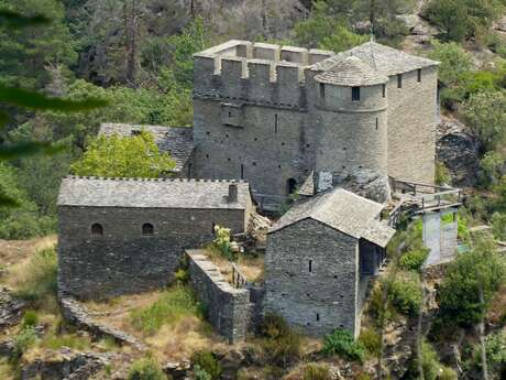 CHATEAU SAINT PIERRE
