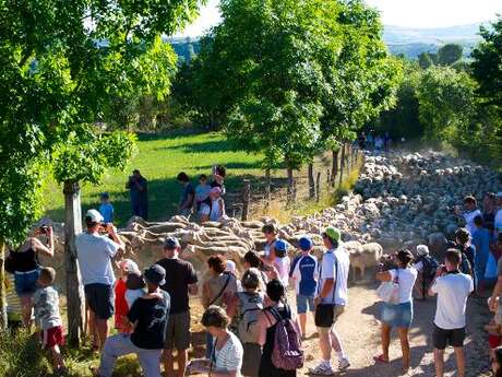 FERME SEGUIN, GAEC DES GRANDS CAUSSES