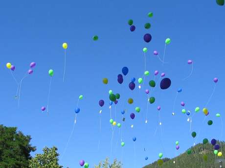 FÊTE DES VIGNES