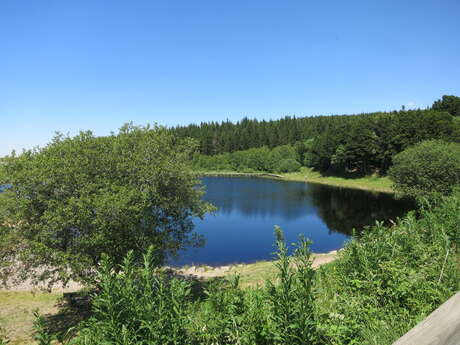 ETANG DE BONNECOMBE