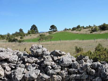 LE CAUSSE SAUVETERRE : LAVAL DU TARN (COTATION ROUGE)