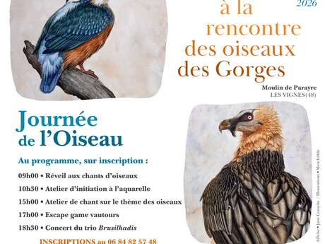 JOURNÉE DE L'OISEAU