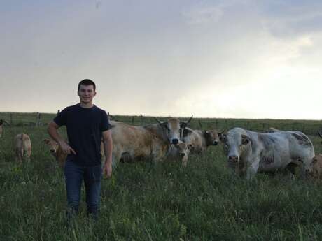 UN ÉTÉ À LA FERME : LES PRÉS D'ESTIVE DE JUSTIN CAYREL