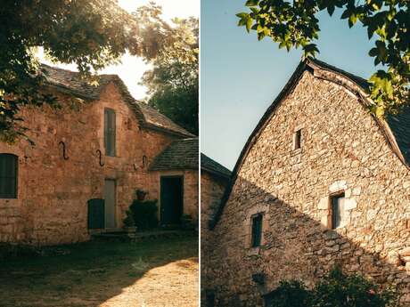 DOMAINE DE LA VIALETTE - LA CAUSSENARDE