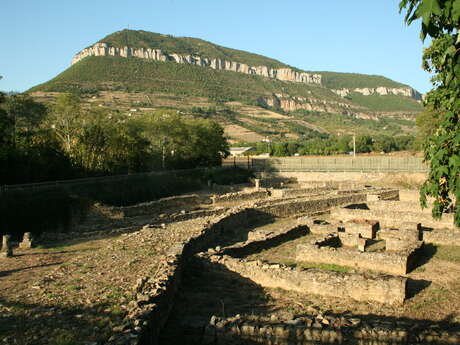 SITE ARCHEOLOGIQUE DE LA GRAUFESENQUE