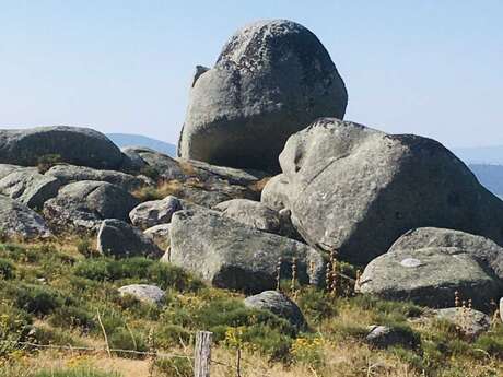 ESCAPADE EN CEVENNES ET AU MONT LOZÈRE