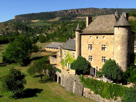 CHATEAU DE RESSOUCHES