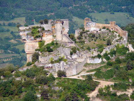 CHÂTEAU DE PEYRELADE