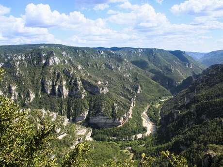 PANORAMA DU POINT SUBLIME