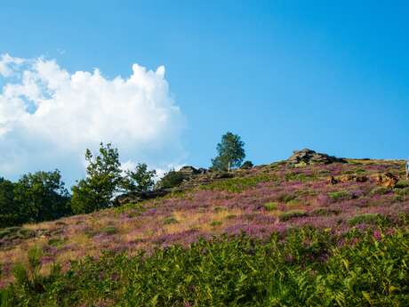 CAUSSES ET CEVENNES : PATRIMOINE DE L'UNESCO