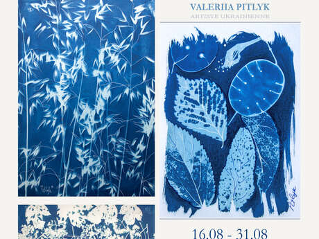 EXPO À L'OFFICE : VALERIA PITLYK