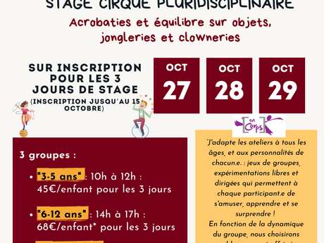 STAGE DE CIRQUE PLURIDISCIPLINAIRE