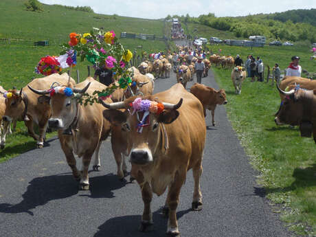 FÊTE DE LA TRANSHUMANCE AU COL DE BONNECOMBE ET FESTI'RANDO