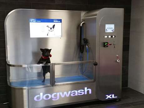 DOGWASH