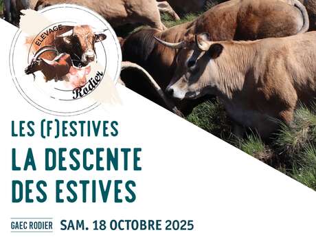LA DESCENTE DES ESTIVES