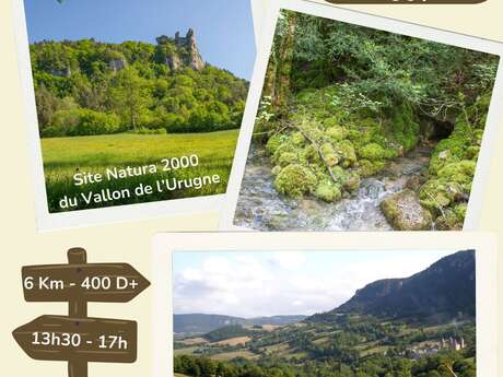 RANDONNÉE NATURALISTE
