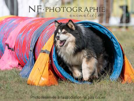 CANIFUN, LE WEEK-END DU CHIEN - 5ÈME ÉDITION
