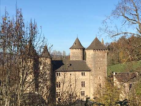 CHATEAU DE SAINT-SATURNIN DE TARTARONNE