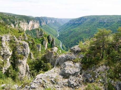 PROMENADE "TRÉSORS DE BIODIVERSITÉ" : ENTRE POINTS DE VUE ET SENTIERS OUBLIÉS