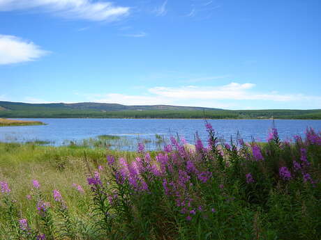 AIRE DE CAMPING-CARS DU LAC CHARPAL