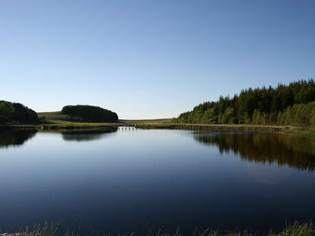 Bonnecombe sur l'Aubrac - VTT n°9