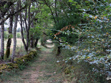 Autour du hameau du Gazy