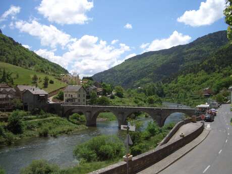 LE MASSEGROS - LES VIGNES - LE ROZIER